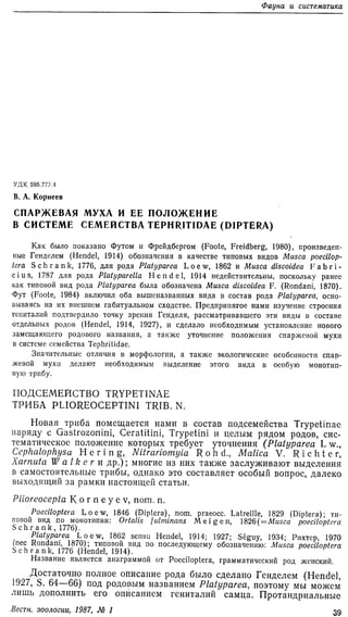 Korneyev V. A. 1987. Asparagus fly and its position in the system of the family Tephritidae (Diptera).