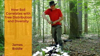 How Soil
Correlates with
Tree Distribution
and Diversity
James
Biddle
 