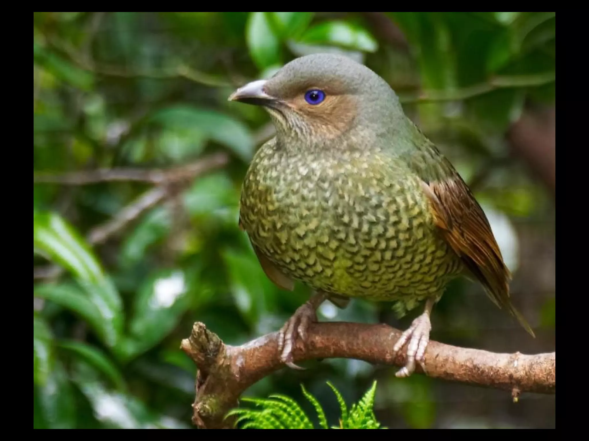 When an old friend I happened to see