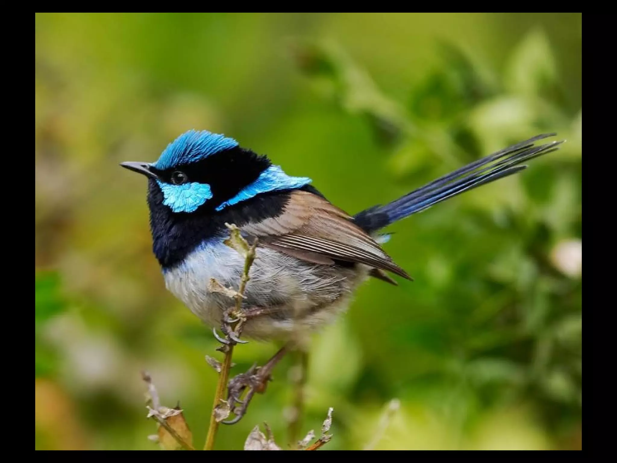 I introduced her to my loved one
I introduced her to my loved one