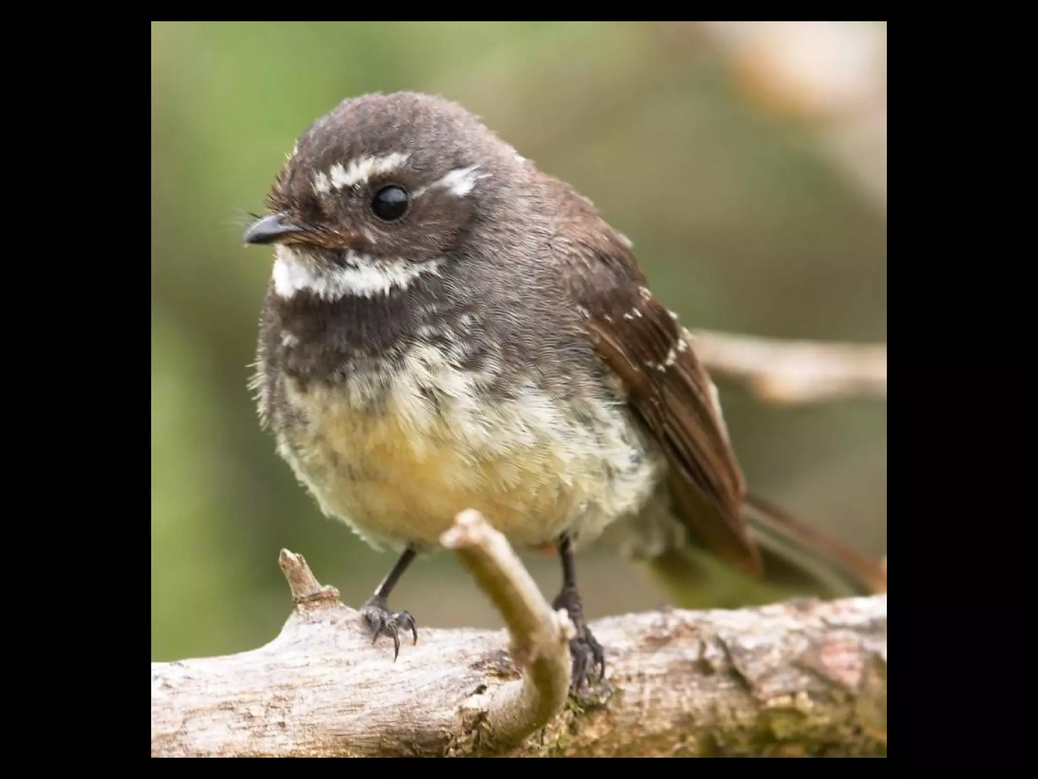 I remember the night