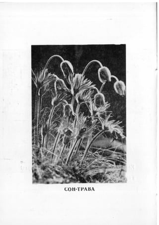 каталог фотовиставки 1990 рік людина і природа   діти однієї планети