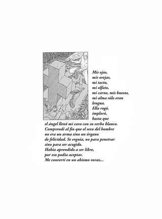 garras de angel(Moebius & jodorowsky -1994)