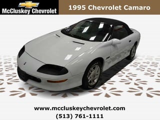1995 Chevrolet Camaro




www.mccluskeychevrolet.com
     (513) 761-1111
 