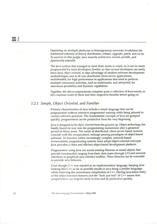 199605   white paper - the java language environment