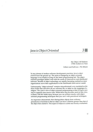 199605   white paper - the java language environment