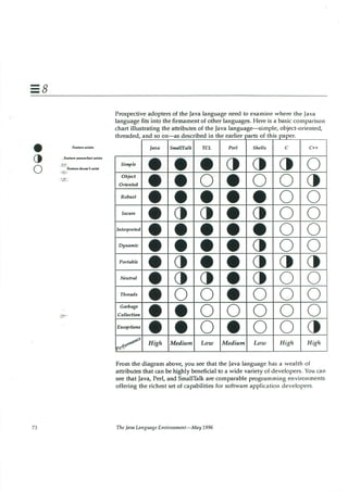 199605   white paper - the java language environment