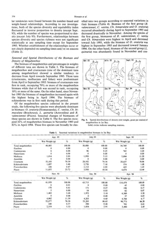 354 Hossain et al.
lar tendencies were found between the number-based and
weight-based relationships. According to our investiga
tions, both of the species diversity and equitability index
fluctuated in inverse proportion to density (except Sept.
93), while the number of species was proportional to den
sity (except July 93). Furthermore, relationships between
species diversity and species richness were not significant
statistically at any sampling time except for September
1993. Whether establishment of the relationships occur or
not clearly depended on sampling times and/or on seasons
(Table 2).
Seasonal and Spatial Distributions of the Biomass and
Density of Megabenthos
The biomass of megabenthos and percentages in weights
of different taxa are shown in Table 3. The biomass of
megabenthos and crustaceans (one of the dominant taxa
among megabenthos) showed a similar tendency to
decrease from April towards September 1993. Three taxa
(crustaceans, molluscans and fishes) were predominant
from April to September 1993: biomass of crustaceans was
first in rank, occupying 70% or more of the megabenthos
biomass while that of fish was second in rank, occupying
10% or more of the same. On the other hand, since Novem
ber 1993 the biomass of megabenthos increased again with
the highest being in April 1994. The biomass of
echinoderms was in first rank during this period.
Of the megabenthos species collected in the present
study, the following five species were absolutely dominant
in biomass: O. oratoria (Stomatopoda), C. vestita, Ch. bi
maculata (Brachyura), L. quinaria (Asteroidea) and R.
valenciennei (Pisces). Seasonal changes of biomasses of
these species are shown in Table 4. The five species occu
pied 32% of megabenthos biomass in November 1993 and
82% in April 1994. These five species can broadly be clas
sified into two groups according to seasonal variations in
their biomass (Table 4). Biomass of the first group (R.
valenciennei, C. vestita, Ch. bimaculata and O. oratoria)
occurred abundantly during April to September 1993 and
decreased drastically in November. Among the species of
the first group, biomasses of R. valenciennei, C. vestita
and Ch. bimaculata were highest in April and decreased
toward July 1993, while the biomass of O. oratoria was
highest in September 1993 and decreased toward January
1994. On the other hand, biomass of the second group (L.
quinaria) was abundantly found in November and con
Fig. 6. Spatial distributions of density (wet weight, gram per station) of
megabenthos in Ise Bay.
Solid circles indicate sampling stations.
Table 3. Seasonal variations in megabenthos biomass in Ise Bay
 