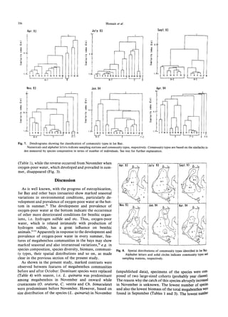 356 Hossain et al.
Fig. 7. Dendrograms showing the classification of community types in Ise Bay.
Numericals and alphabet letters indicate sampling stations and community types, respectively. Community types are based on the similarlity in
dex measured by species composition in terms of number of individuals. See text for further explanation.
(Table 1), while the reverse occurred from November when
oxygen-poor water, which developed and prevailed in sum
mer, disappeared (Fig. 3).
Discussion
As is well known, with the progress of eutrophication,
Ise Bay and other bays (estuaries) show marked seasonal
variations in environmental conditions, particularly de
velopment and prevalence of oxygen-poor water at the bot
tom in summer.9) The development and prevalence of
oxygen-poor water at the bottom indicate the occurrence
of other more deteriorated conditions for benthic organ
isms, i.e. hydrogen sulfide and etc. Thus, oxygen-poor
water, which is related intimately with production of
hydrogen sulfide, has a great influence on benthic
animals.8,11)Apparently in response to the development and
prevalence of oxygen-poor water in every summer, fea
tures of megabenthos communities in the bays may show
marked seasonal and also interannual variations,9) e.g. in
species composition, species diversity, biomass, communi
ty types, their spatial distributions and so on, as made
clear in the previous section of the present study.
As shown in the present study, marked contrasts were
observed between features of megabenthos communities
before and after October: Dominant species were replaced
(Table 4) with season, i.e. L. quinaria was predominant
among megabenthos in November and onward while
crustaceans (0. oratoria, C. vestita and Ch. bimaculata)
were predominant before November. However, based on
size distribution of the species (L. quinaria) in November
Fig. 8. Spatial distributions of community types identified in Ise Bay.
Alphabet letters and solid circles indicate community types and
sampling stations, respectively.
(unpublished data), specimens of the species were com
posed of two large-sized cohorts (probably year classes),
The reason why the catch of this species abruptly increased
in November is unknown. The lowest number of species
and also the lowest biomass of the total megabenthos were
found in September (Tables 1 and 3). The lowest number
 