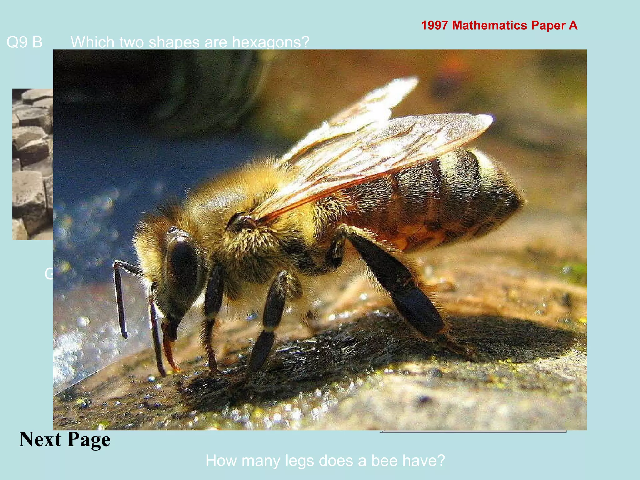 1997 Mathematics Paper A Giants Causeway rocks Honeycomb Q9 B Which two shapes are hexagons?  Next Page  Mark off using pen tool Hex from the Greek word for six How many legs does a bee have? 