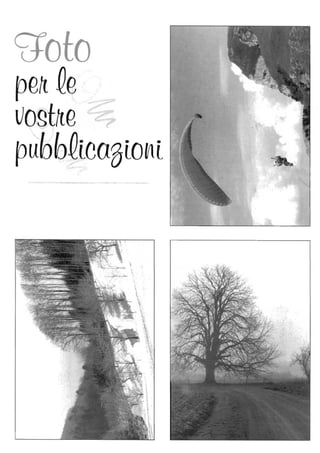 goto
pett Qe .~~
vogttte ~
pubbQLCQBtOtlt
 