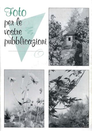 goto
pe~ Qe .
Vogt~e
pubbQtCOBtOftt .......
 