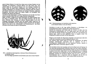 DeArGe Mitteilungen 5/1998