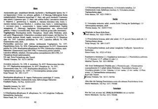 DeArGe Mitteilungen 5/1998