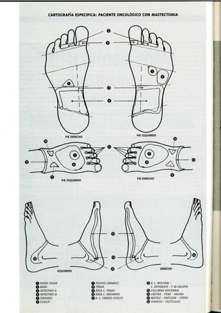 1998 1 .revista.masaje.08
