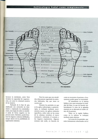 1998 1 .revista.masaje.08