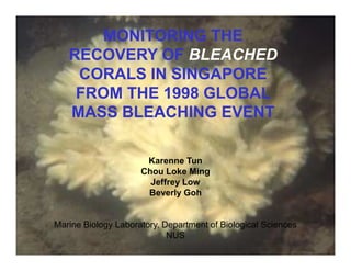 MONITORING THE
   RECOVERY OF BLEACHED
    CORALS IN SINGAPORE
    FROM THE 1998 GLOBAL
   MASS BLEACHING EVEN
                    EVENT

                      Karenne Tun
                     Chou Loke Ming
                       Jeffrey Low
                      Beverly Goh


Marine Biology Laboratory, Department of Biological Sciences
                            NUS
 