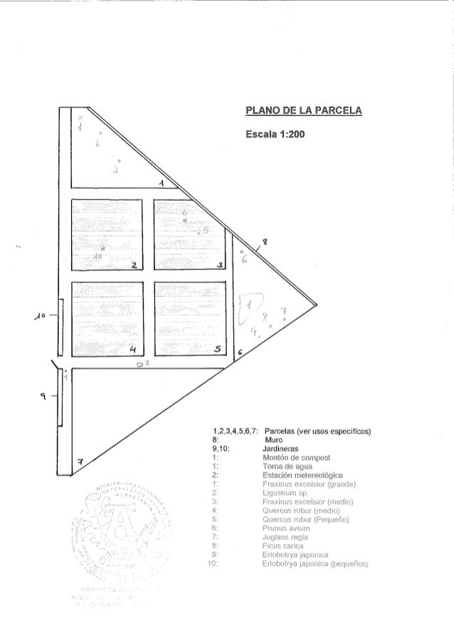 Estudio previo sobre la huerta ecológica del IES BEURKO BHI
