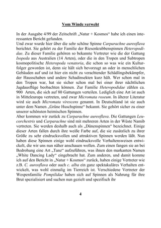 Vom Winde verweht

In der Ausgabe 4/99 der Zeitschrift „Natur + Kosmos“ habe ich einen inte-
ressanten Bericht gefunden.
Und zwar wurde hier über die sehr schöne Spinne Carparachne aureoflava
berichtet. Sie gehört zu der Familie der Riesenkrabbenspinnen Heteropodi-
dae. Zu dieser Familie gehören so bekannte Vertreter wie die der Gattung
Isopeda aus Australien (14 Arten), oder die in den Tropen und Subtropen
kosmopolitische Heteropoda venatoria, die schon so was wie ein Kultur-
folger geworden ist, denn sie hält sich bevorzugt an oder in menschlichen
Gebäuden auf und ist hier ein nicht zu verachtender Schädlingsbekämpfer,
der Hausschaben und andere Schadinsekten kurz hält. Wer schon mal in
den Tropen war, hat sie sicher schon mal bei einer ihrer nächtlichen
Jagdausflüge beobachten können. Zur Familie Heteropodidae zählen ca.
900 Arten, die sich auf 80 Gattungen verteilen. Lediglich eine Art ist auch
in Mitteleuropa vertreten, und zwar Micromata roseum. In älterer Literatur
wird sie auch Micromata virescens genannt. In Deutschland ist sie auch
unter dem Namen „Grüne Huschspinne“ bekannt. Sie gehört sicher zu einer
unserer schönsten heimischen Spinnen.
Aber kommen wir zurück zu Carparachne aureoflava. Die Gattungen Leu-
corchestris und Carparachne sind mit mehreren Arten in der Wüste Namib
vertreten. Sie werden deshalb auch als „Dünenspinnen“ bezeichnet. Einige
dieser Arten fallen durch ihre weiße Farbe auf, die sie zusätzlich zu ihrer
Größe zu sehr eindrucksvollen und attraktiven Spinnen werden läßt. Nun
haben diese Spinnen einige wohl eindrucksvolle Verhaltensweisen entwi-
ckelt, die wir uns nun näher anschauen wollen. Zum einen fangen sie an bei
Bedrohung eine Art „Tanz“ aufzuführen, was ihnen den markanten Namen
„White Dancing Lady“ eingebracht hat. Zum anderen, und damit komme
ich auf den Bericht in „Natur + Kosmos“ zurück, haben einige Vertreter wie
z.B. C. aureoflava oder auch c. alba ein ganz spektakuläres Verhalten ent-
wickelt, was wohl einmalig im Tierreich ist. Verschiedene Vertreter der
Wespenfamilie Pompilidae haben sich auf Spinnen als Nahrung für ihre
Brut spezialisiert und suchen nun gezielt und spezifisch ihr


                                    4
 
