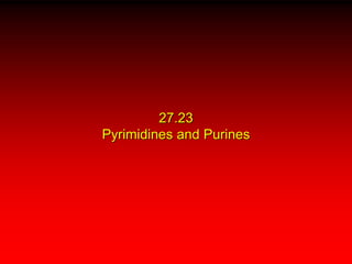 27.23
Pyrimidines and Purines
 