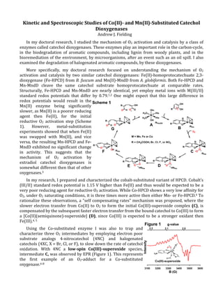 Kinetic and Spectroscopic Studies of Co(II)- and Mn(II)-Substituted Catechol
Dioxygenases
Andrew J. Fielding
In my doctoral research, I studied the mechanism of O2 activation and catalysis by a class of
enzymes called catechol dioxygenases. These enzymes play an important role in the carbon-cycle,
in the biodegradation of aromatic compounds, including lignin from woody plants, and in the
bioremediation of the environment, by microorganisms, after an event such as an oil spill. I also
examined the degradation of halogenated aromatic compounds, by these dioxygenases.
More specifically, my doctoral research focused on understanding the mechanism of O2
activation and catalysis by two similar catechol dioxygenases: Fe(II)-homoprotocatechuate 2,3-
dioxygenase (Fe-HPCD) from B. fuscum and Mn(II)-MndD from A. globiformis. Both Fe-HPCD and
Mn-MndD cleave the same catechol substrate homoprotocatechuate at comparable rates.
Structurally, Fe-HPCD and Mn-MndD are nearly identical, yet employ metal ions with M(III/II)
standard redox potentials that differ by 0.79.1,2 One might expect that this large difference in
redox potentials would result in the
Mn(II) enzyme being significantly
slower, as Mn(II) is a poorer reducing
agent then Fe(II), for the initial
reductive O2 activation step (Scheme
1). However, metal-substitution
experiments showed that when Fe(II)
was swapped with Mn(II), and vice
versa, the resulting Mn-HPCD and Fe-
MndD exhibited no significant change
in activity. This suggests that the
mechanism of O2 activation by
extradiol catechol dioxygenases is
somewhat different then that of other
oxygenases.3
In my research, I prepared and characterized the cobalt-substituted variant of HPCD. Cobalt’s
(III/II) standard redox potential is 1.15 V higher than Fe(II) and thus would be expected to be a
very poor reducing agent for reductive O2 activation. While Co-HPCD shows a very low affinity for
O2, under O2 saturating conditions, it is three times more active then either Mn- or Fe-HPCD.4 To
rationalize these observations, a "self compensating rates" mechanism was proposed, where the
slower electron transfer from Co(II) to O2 to form the initial Co(III)-superoxide complex (C), is
compensated by the subsequent faster electron transfer from the bound catechol to Co(III) to form
a [Co(II)(semiquinone)-superoxide] (D), since Co(III) is expected to be a stronger oxidant then
Fe(III).4, 5
Using the Co-substituted enzyme I was also to trap and
characterize three O2 intermediates by employing electron poor
substrate analogs 4-nitrocatechol (4NC) and halogenated
catechols (4XC, X = Br, Cl, or F), to slow down the rate of catechol
oxidation. With 4NC a low-spin Co(III)-superoxide species,
intermediate C, was observed by EPR (Figure 1). This represents
the first example of an O2-adduct for a Co-substituted
oxygenase.6-8
 