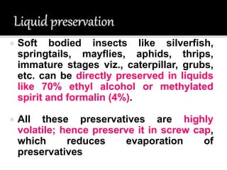 INSECT PRESERVATION POWERPOINT | PPTX