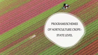 PROGRAMS/SCHEMES
OF HORTICULTURE CROPS -
STATE LEVEL
 