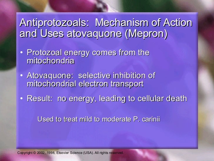 NurseReview.Org - Antimalarials Updates (pharmacology NurseReview.Org - Antimalarials Updates (pharmacology