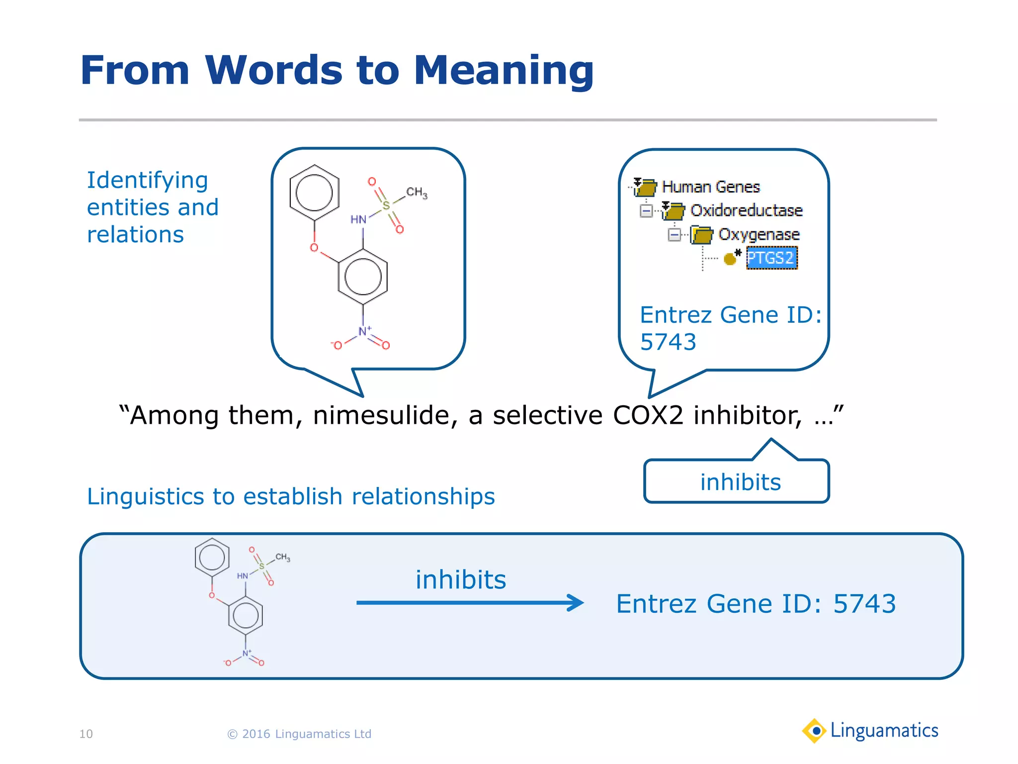 From Words to Meaning
© 2016 Linguamatics Ltd10
“Among them, nimesulide, a selective COX2 inhibitor, …”
Entrez Gene ID:
5743
inhibits
Entrez Gene ID: 5743
inhibits
Identifying
entities and
relations
Linguistics to establish relationships
 