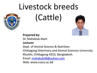 Livestock breeds
(Cattle)
Prepared by:
Dr. Mahabub Alam
Lecturer
Dept. of Animal Science & Nutrition
Chittagong Veterinary and Animal Sciences University
Khulshi, Chittagong-4225, Bangladesh.
Email: mahabub38@yahoo.com
Web: www.cvasu.ac.bd
 