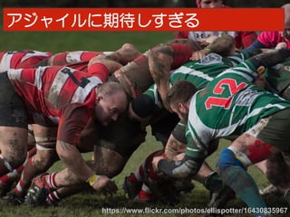 18https://www.flickr.com/photos/ellispotter/16430835967	
アジャイルに期待しすぎる
 