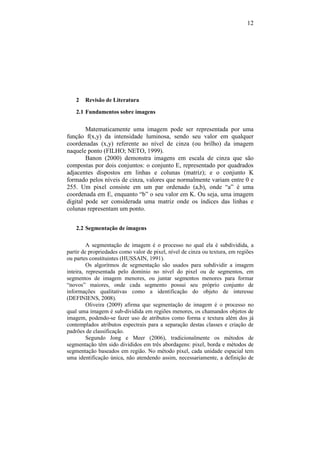 12
2 Revisão de Literatura
2.1 Fundamentos sobre imagens
Matematicamente uma imagem pode ser representada por uma
função f(x,y) da intensidade luminosa, sendo seu valor em qualquer
coordenadas (x,y) referente ao nível de cinza (ou brilho) da imagem
naquele ponto (FILHO; NETO, 1999).
Banon (2000) demonstra imagens em escala de cinza que são
compostas por dois conjuntos: o conjunto E, representado por quadrados
adjacentes dispostos em linhas e colunas (matriz); e o conjunto K
formado pelos níveis de cinza, valores que normalmente variam entre 0 e
255. Um pixel consiste em um par ordenado (a,b), onde “a” é uma
coordenada em E, enquanto “b” o seu valor em K. Ou seja, uma imagem
digital pode ser considerada uma matriz onde os índices das linhas e
colunas representam um ponto.
2.2 Segmentação de imagens
A segmentação de imagem é o processo no qual ela é subdividida, a
partir de propriedades como valor de pixel, nível de cinza ou textura, em regiões
ou partes constituintes (HUSSAIN, 1991).
Os algoritmos de segmentação são usados para subdividir a imagem
inteira, representada pelo domínio no nível do pixel ou de segmentos, em
segmentos de imagem menores, ou juntar segmentos menores para formar
“novos” maiores, onde cada segmento possui seu próprio conjunto de
informações qualitativas como a identificação do objeto de interesse
(DEFINIENS, 2008).
Oliveira (2009) afirma que segmentação de imagem é o processo no
qual uma imagem é sub-dividida em regiões menores, os chamandos objetos de
imagem, podendo-se fazer uso de atributos como forma e textura além dos já
contemplados atributos espectrais para a separação destas classes e criação de
padrões de classificação.
Segundo Jong e Meer (2006), tradicionalmente os métodos de
segmentação têm sido divididos em três abordagens: pixel, borda e métodos de
segmentação baseados em região. No método pixel, cada unidade espacial tem
uma identificação única, não atendendo assim, necessariamente, a definição de
 