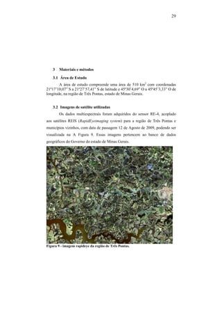 29
3 Materiais e métodos
3.1 Área de Estudo
A área de estudo compreende uma área de 510 km2
com coordenadas
21º17’10,07” S a 21º27’57,41” S de latitude e 45º30’4,69” O a 45º45’3,33” O de
longitude, na região de Três Pontas, estado de Minas Gerais.
3.2 Imagens de satélite utilizadas
Os dados multiespectrais foram adquiridos do sensor RE-4, acoplado
aos satélites REIS (RapidEyeimaging system) para a região de Três Pontas e
municípios vizinhos, com data de passagem 12 de Agosto de 2009, podendo ser
visualizada na A Figura 9. Essas imagens pertencem ao banco de dados
geográficos do Governo do estado de Minas Gerais.
Figura 9 - imagem rapideye da região de Três Pontas.
 