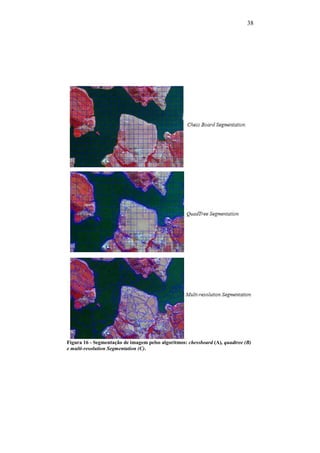 38
Figura 16 - Segmentação de imagem pelso algoritmos: chessboard (A), quadtree (B)
e multi-resolution Segmentation (C).
 