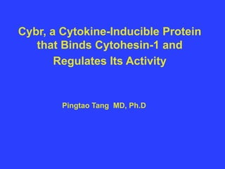 Cybr, a Cytokine-Inducible Protein
that Binds Cytohesin-1 and
Regulates Its Activity
Pingtao Tang MD, Ph.D
 