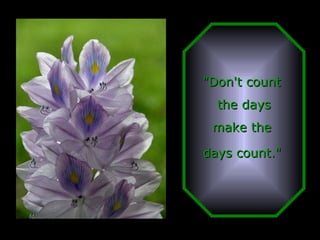 "Don't count  the days make the  days count."   