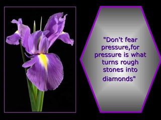 "Don't fear pressure,for pressure is what turns rough stones into diamonds"   