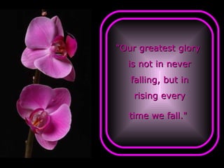 " Our greatest glory  is not in never falling, but in rising every time we fall. "   