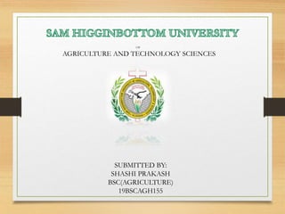 OF
AGRICULTURE AND TECHNOLOGY SCIENCES
SUBMITTED BY:
SHASHI PRAKASH
BSC(AGRICULTURE)
19BSCAGH155
 