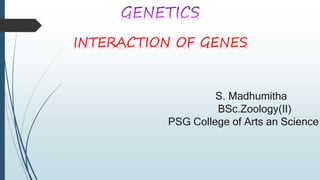 INTERACTION OF GENES
S. Madhumitha
BSc.Zoology(II)
PSG College of Arts an Science
 