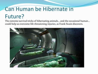 Can Human be Hibernate in
Future?
The extreme survival tricks of hibernating animals… and the occasional human…
could help us overcome life-threatening injuries, as Frank Swain discovers.
 