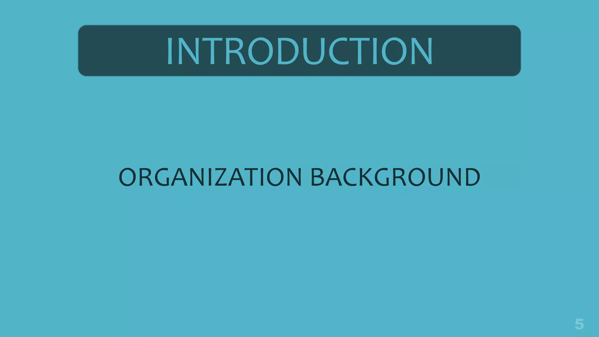 INTRODUCTION
ORGANIZATION BACKGROUND
 