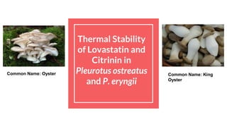 Thermal Stability
of Lovastatin and
Citrinin in
Pleurotus ostreatus
and P. eryngii
Common Name: Oyster Common Name: King Oyster
Common Name: Oyster Common Name: King
Oyster
 