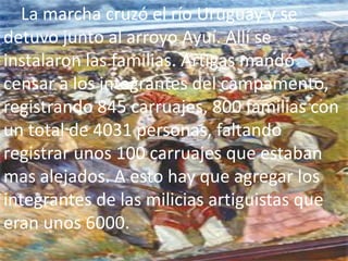 La marcha cruzó el río Uruguay y se
detuvo junto al arroyo Ayuí. Allí se
instalaron las familias. Artigas mandó
censar a los integrantes del campamento,
registrando 845 carruajes, 800 familias con
un total de 4031 personas, faltando
registrar unos 100 carruajes que estaban
mas alejados. A esto hay que agregar los
integrantes de las milicias artiguistas que
eran unos 6000.
 