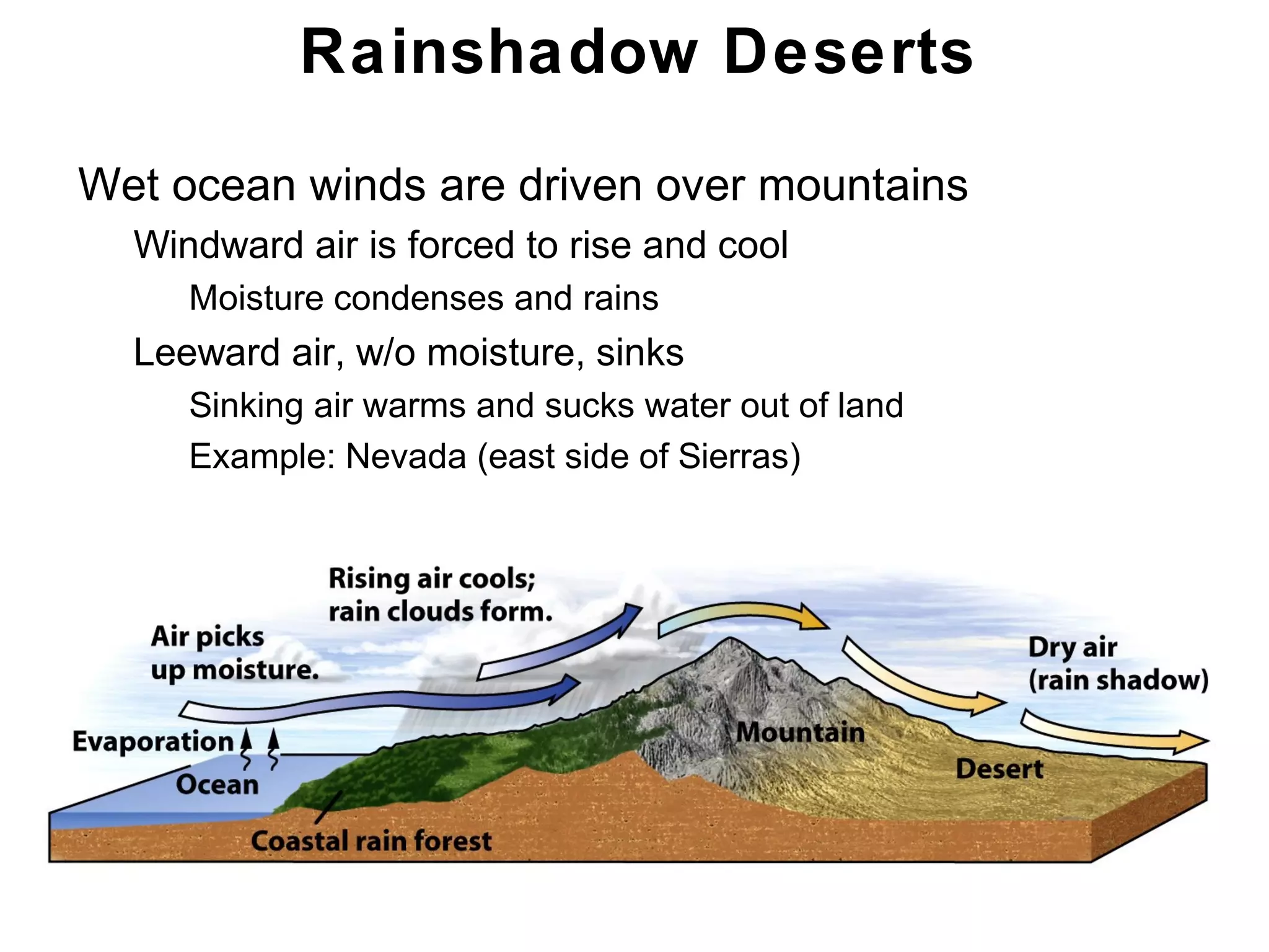 Chapter 21
Rainshadow Deserts
• Wet ocean winds are driven over mountains
• Windward air is forced to rise and cool
• Moisture condenses and rains
• Leeward air, w/o moisture, sinks
• Sinking air warms and sucks water out of land
• Example: Nevada (east side of Sierras)
 