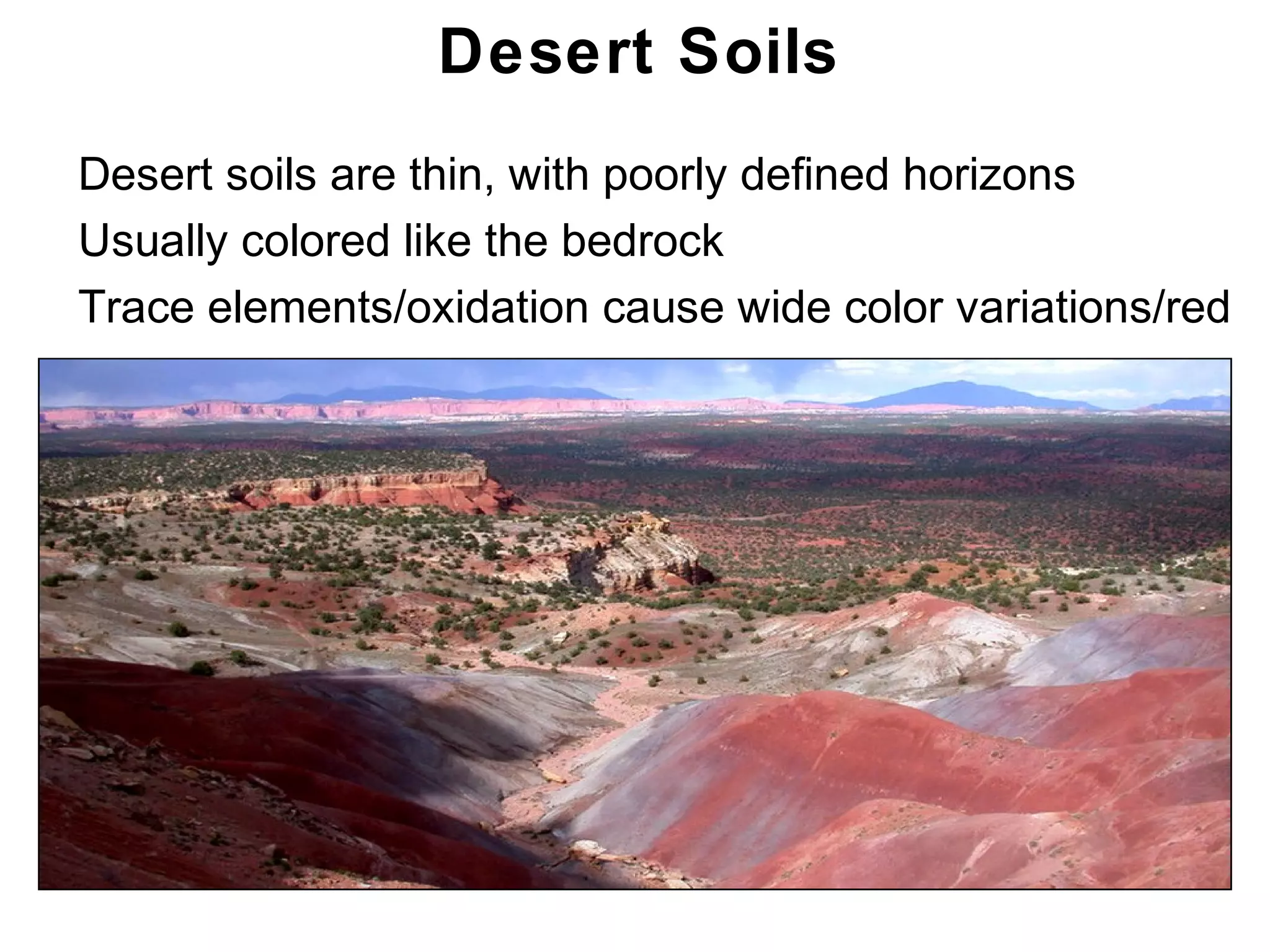 Chapter 21
Desert Soils
• Desert soils are thin, with poorly defined horizons
• Usually colored like the bedrock
• Trace elements/oxidation cause wide color variations/red
 