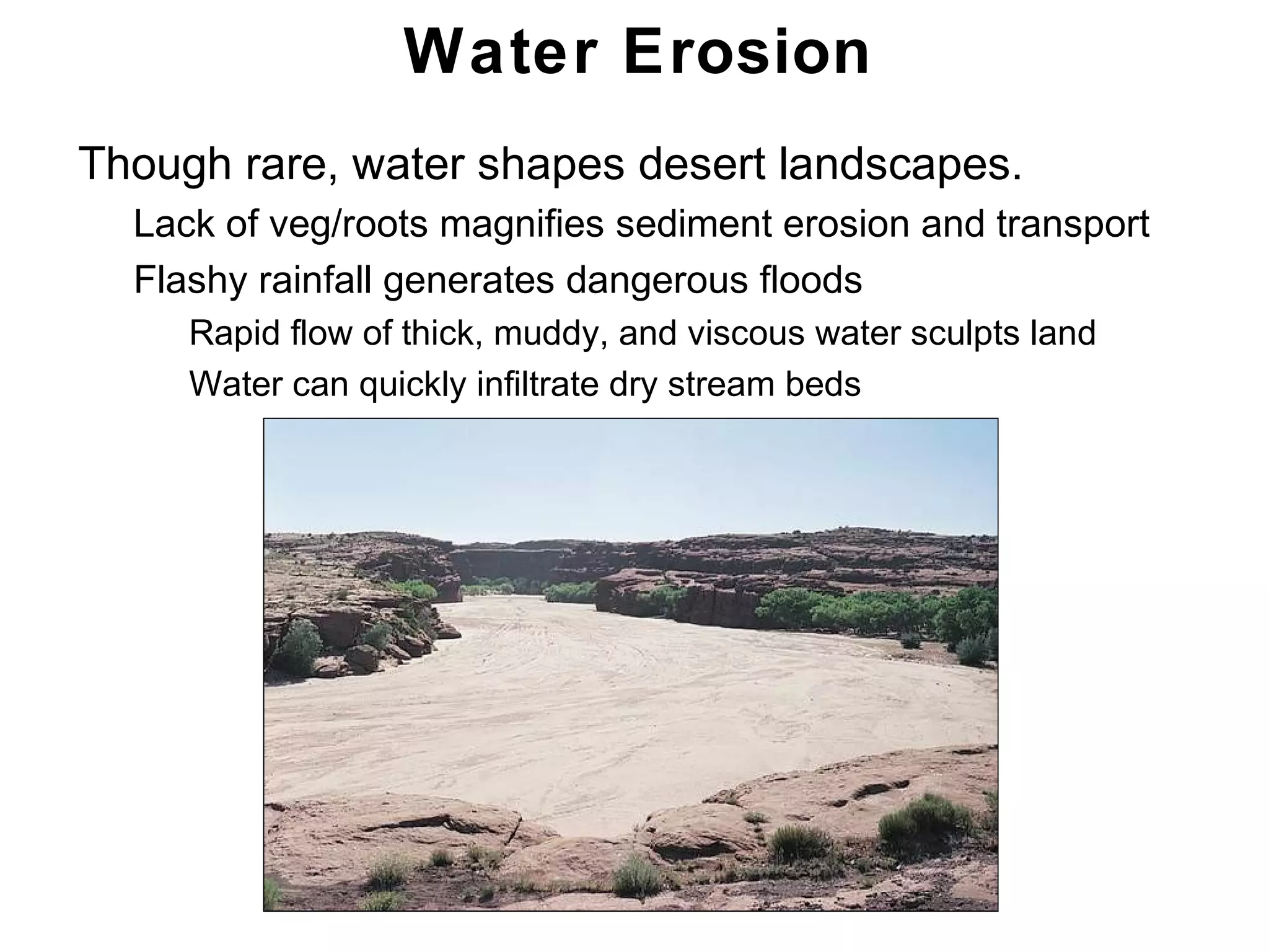 Chapter 21
Water Erosion
• Though rare, water shapes desert landscapes.
• Lack of veg/roots magnifies sediment erosion and transport
• Flashy rainfall generates dangerous floods
• Rapid flow of thick, muddy, and viscous water sculpts land
• Water can quickly infiltrate dry stream beds
 