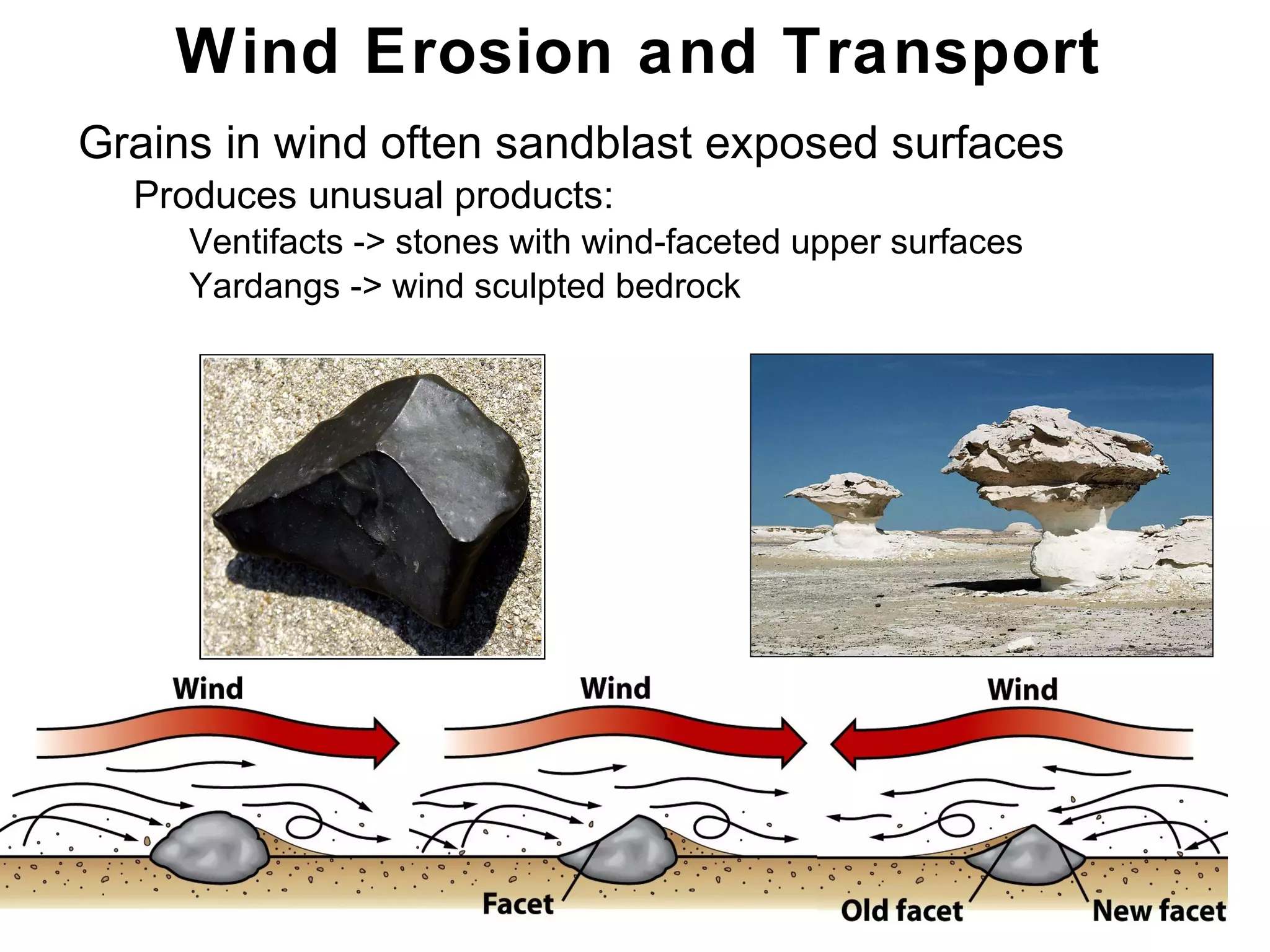 Chapter 21
• Grains in wind often sandblast exposed surfaces
• Produces unusual products:
• Ventifacts -> stones with wind-faceted upper surfaces
• Yardangs -> wind sculpted bedrock
Wind Erosion and Transport
 