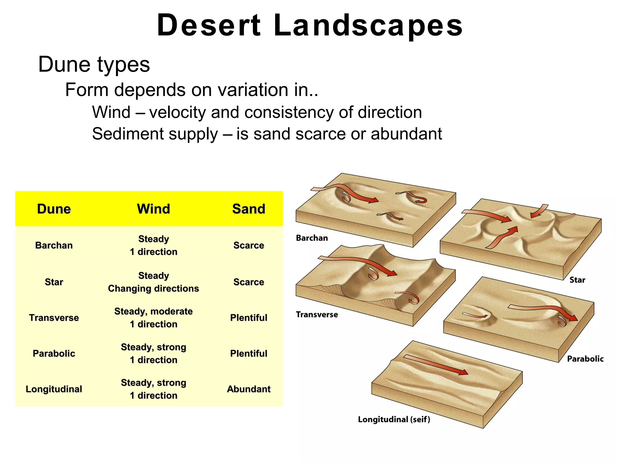 Chapter 21
• Dune types
• Form depends on variation in..
• Wind – velocity and consistency of direction
• Sediment supply – is sand scarce or abundant
Desert Landscapes
DuneDune WindWind SandSand
BarchanBarchan
SteadySteady
1 direction1 direction
ScarceScarce
StarStar
SteadySteady
Changing directionsChanging directions
ScarceScarce
TransverseTransverse
Steady, moderateSteady, moderate
1 direction1 direction
PlentifulPlentiful
ParabolicParabolic
Steady, strongSteady, strong
1 direction1 direction
PlentifulPlentiful
LongitudinalLongitudinal
Steady, strongSteady, strong
1 direction1 direction
AbundantAbundant
 