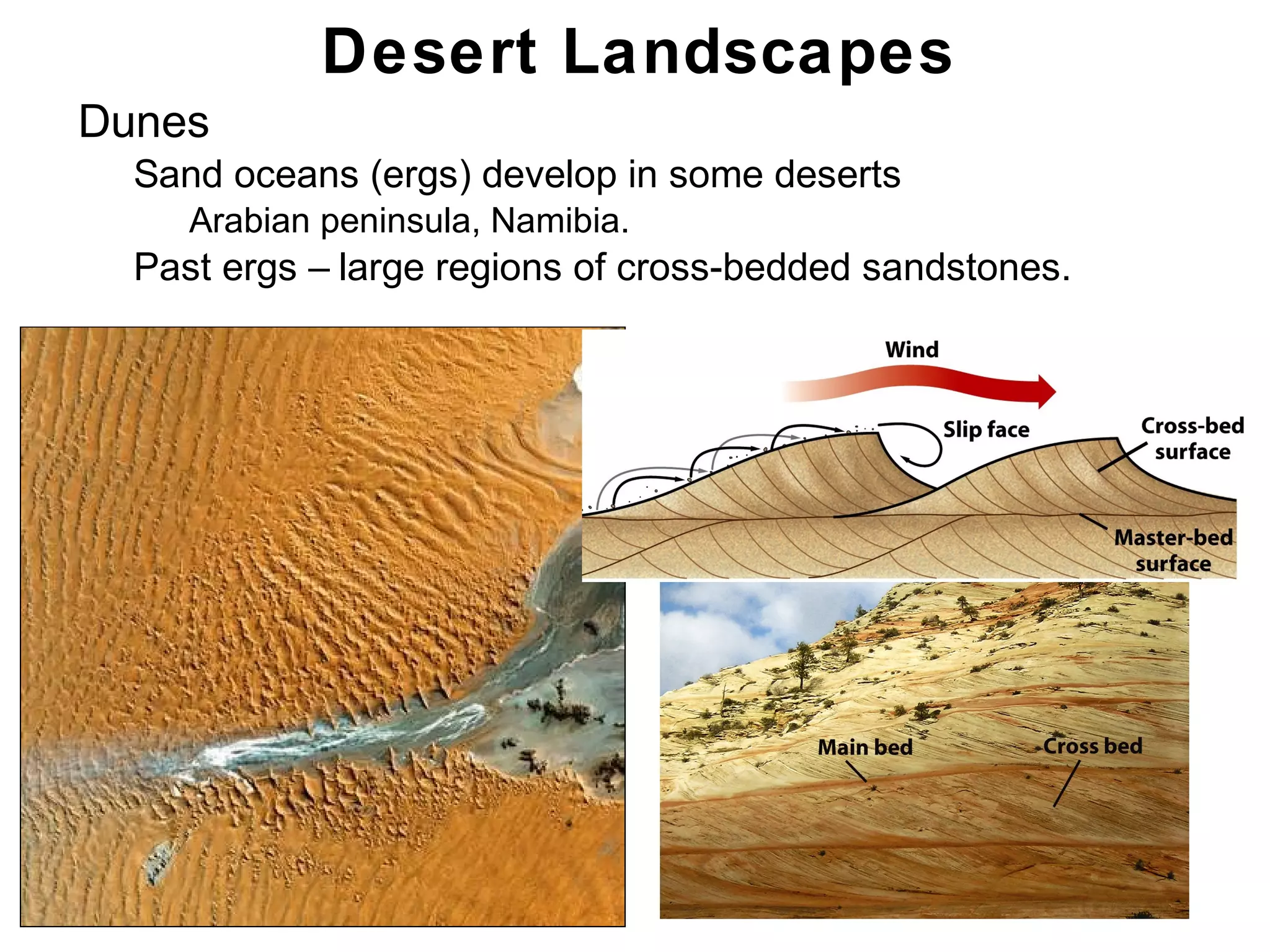 Chapter 21
• Dunes
• Sand oceans (ergs) develop in some deserts
• Arabian peninsula, Namibia.
• Past ergs – large regions of cross-bedded sandstones.
Desert Landscapes
 